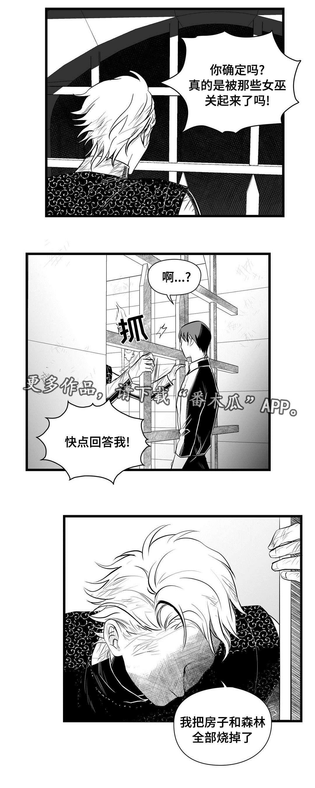 巫师与王子漫画,第34章：下毒2图