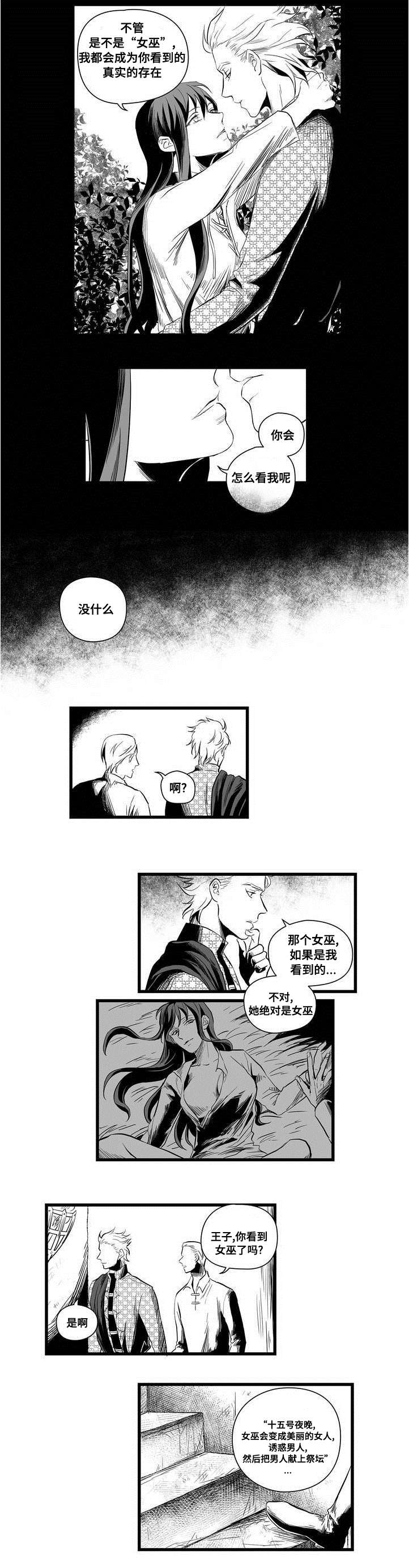 巫师与王子漫画,第2章：失踪的士兵3图
