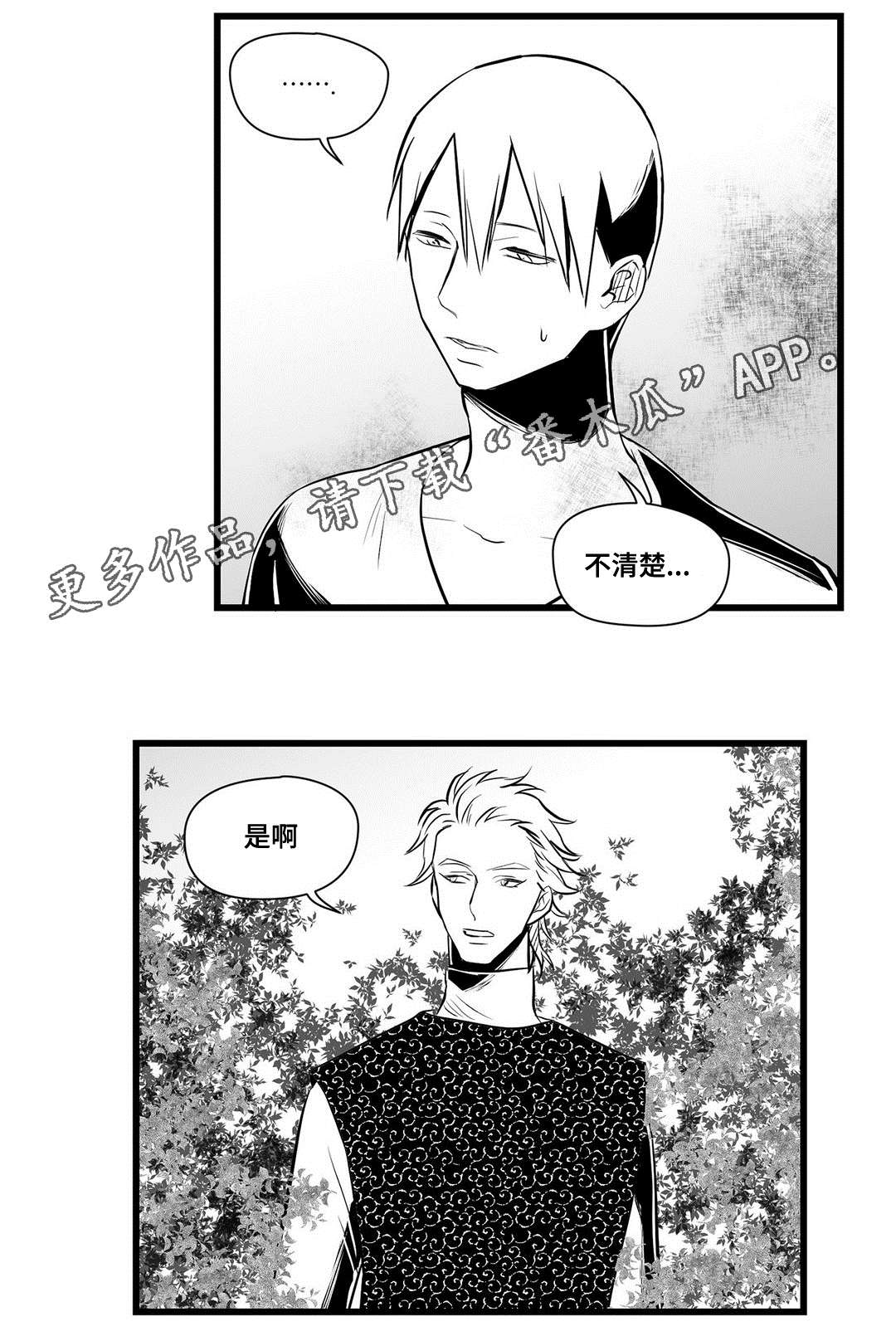 巫师与王子漫画,第32章：猜想2图