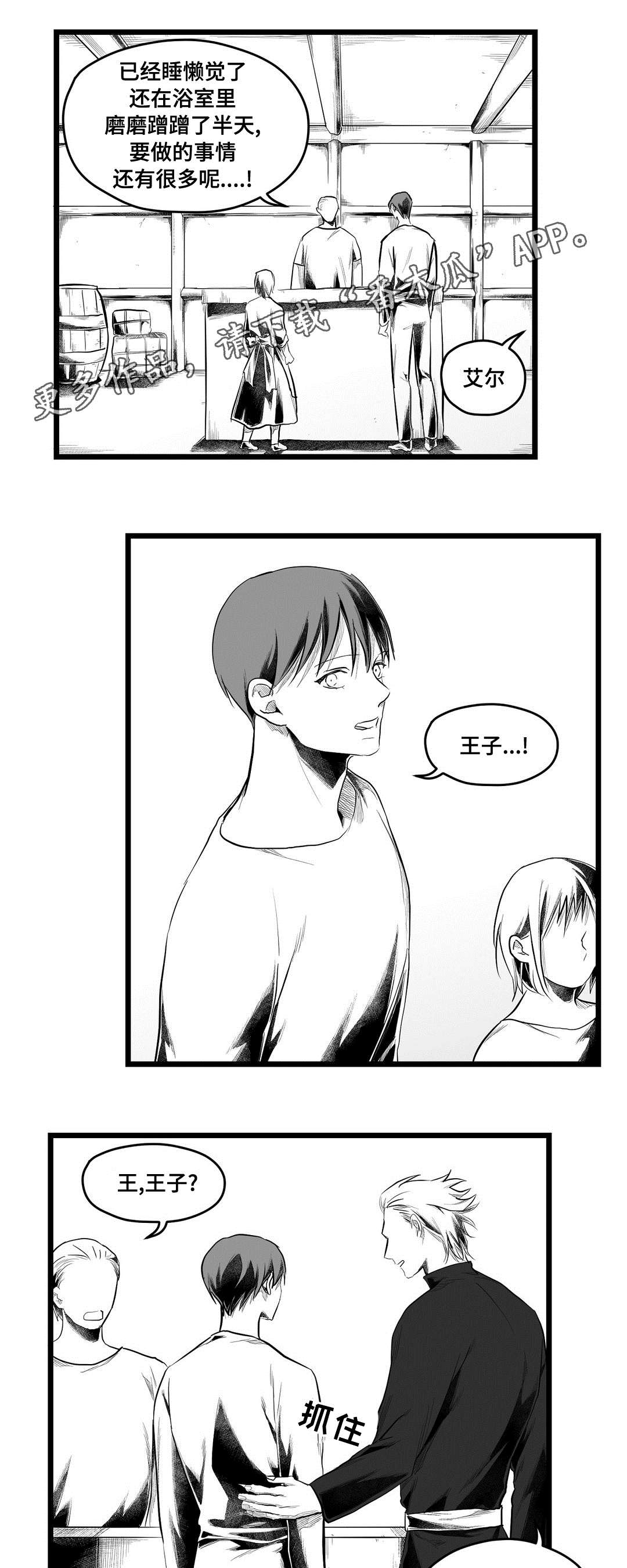 巫师与王子漫画,第80章：骗子2图