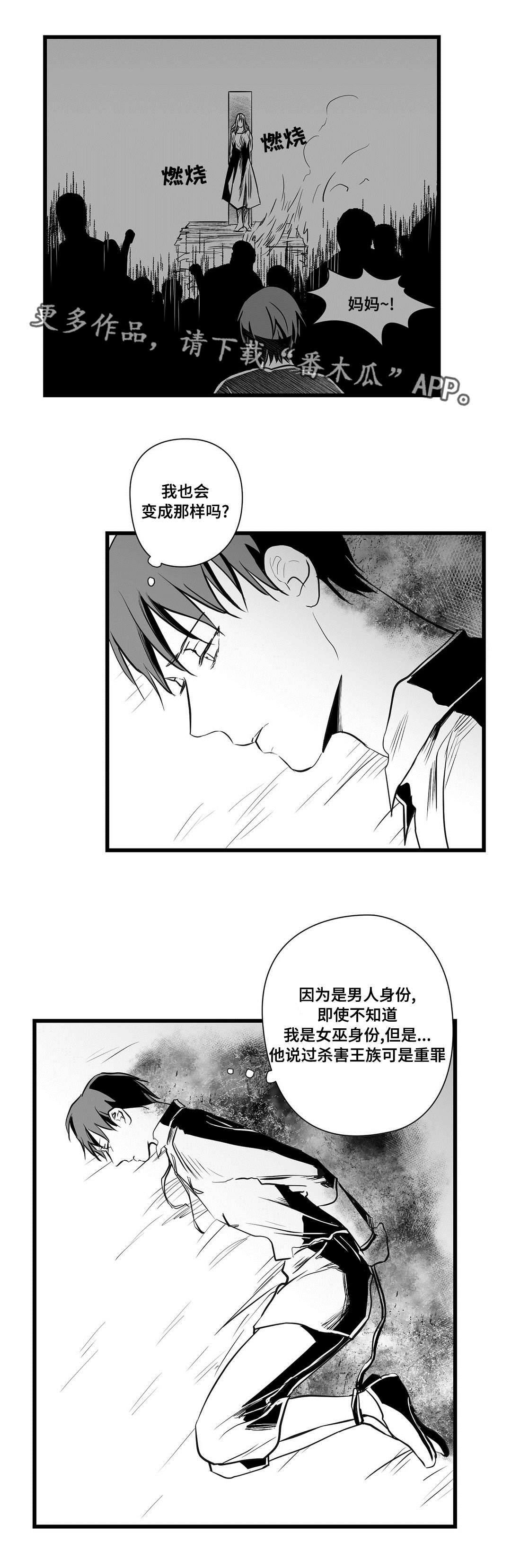 巫师与王子漫画,第29章：抛弃4图