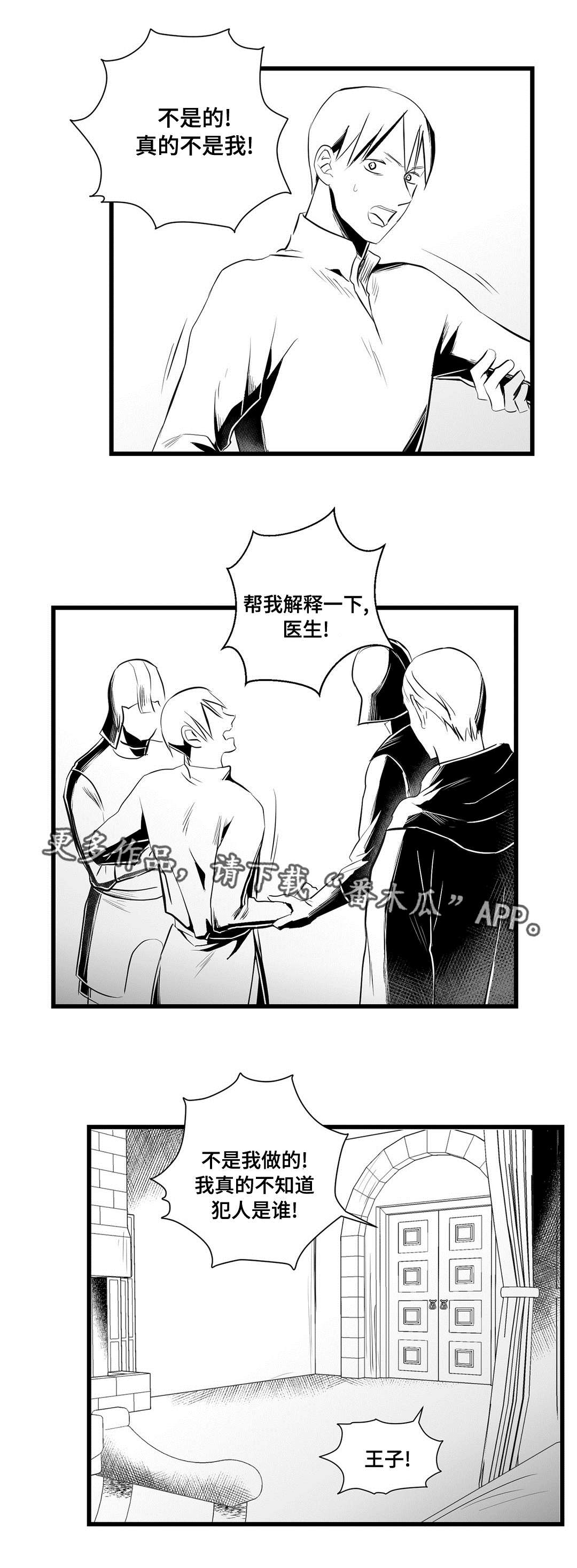 巫师与王子漫画,第34章：下毒5图