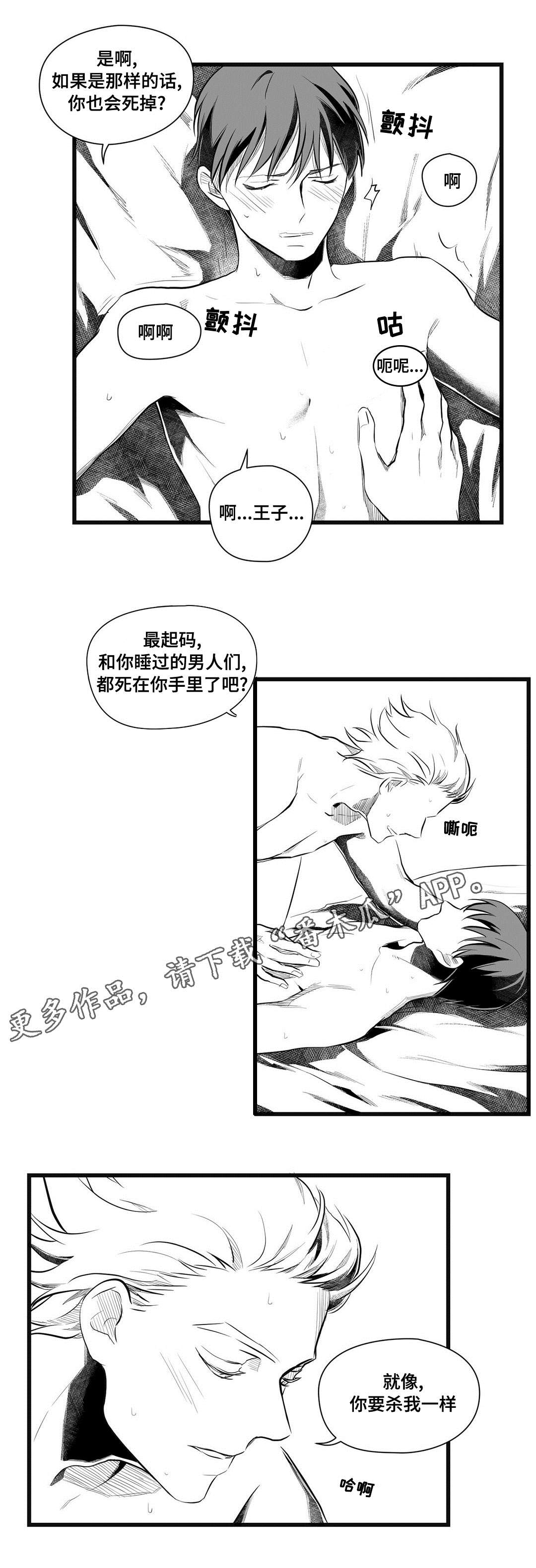 巫师与王子漫画,第49章：守护2图