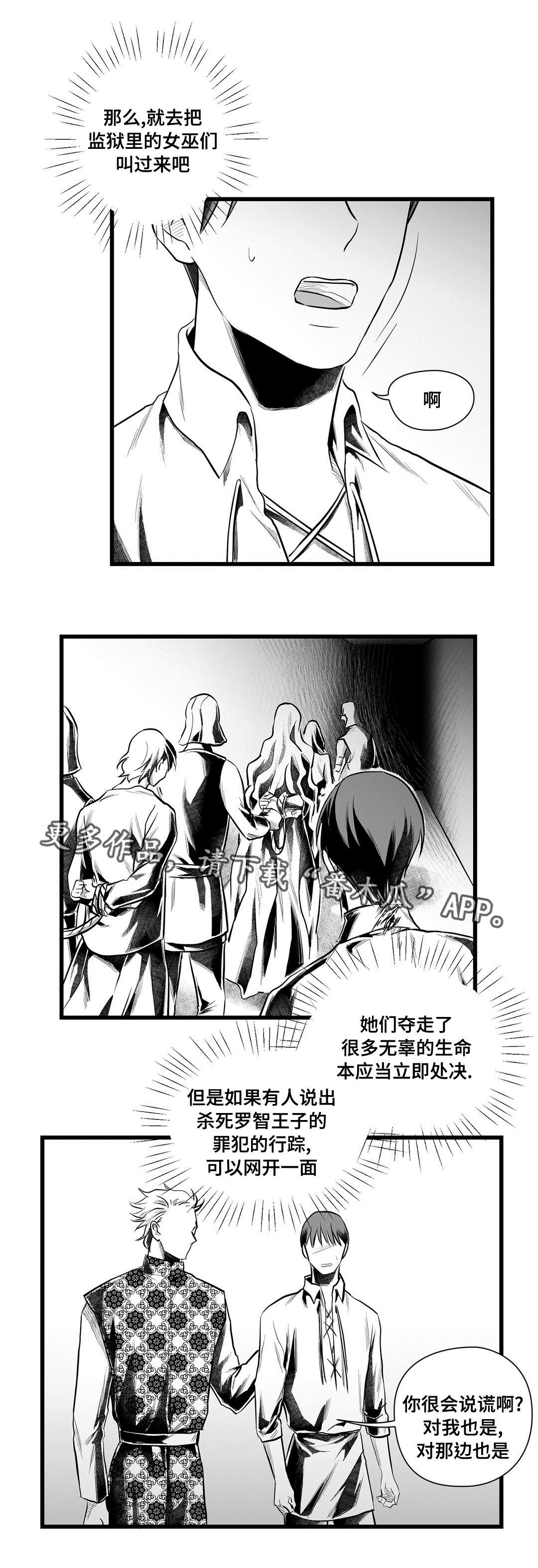 巫师与王子漫画,第48章：麻烦3图