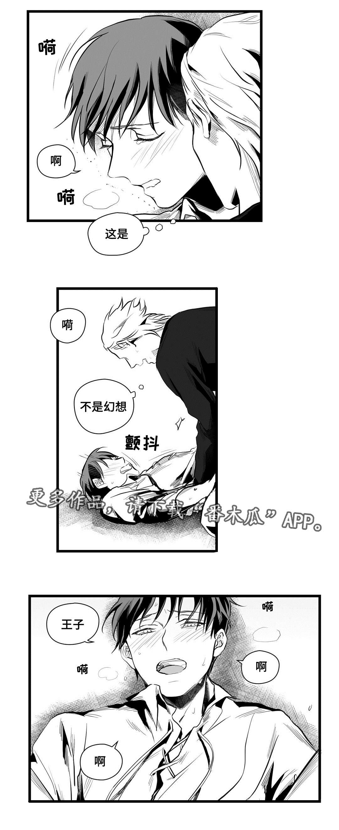 巫师与王子漫画,第39章：喜欢你2图