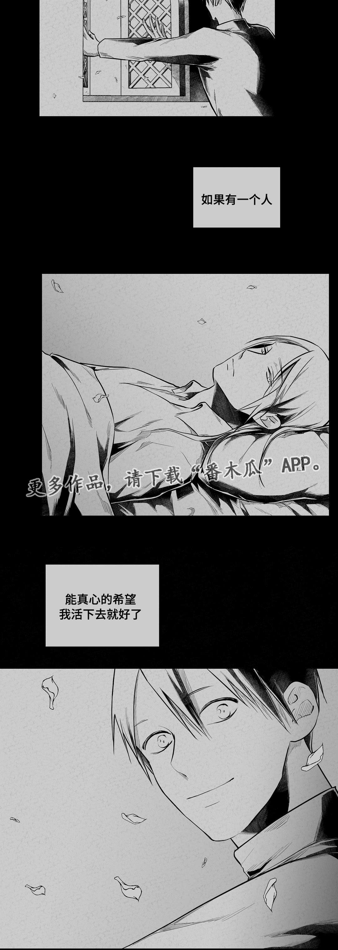 巫师与王子漫画,第63章：爱情3图