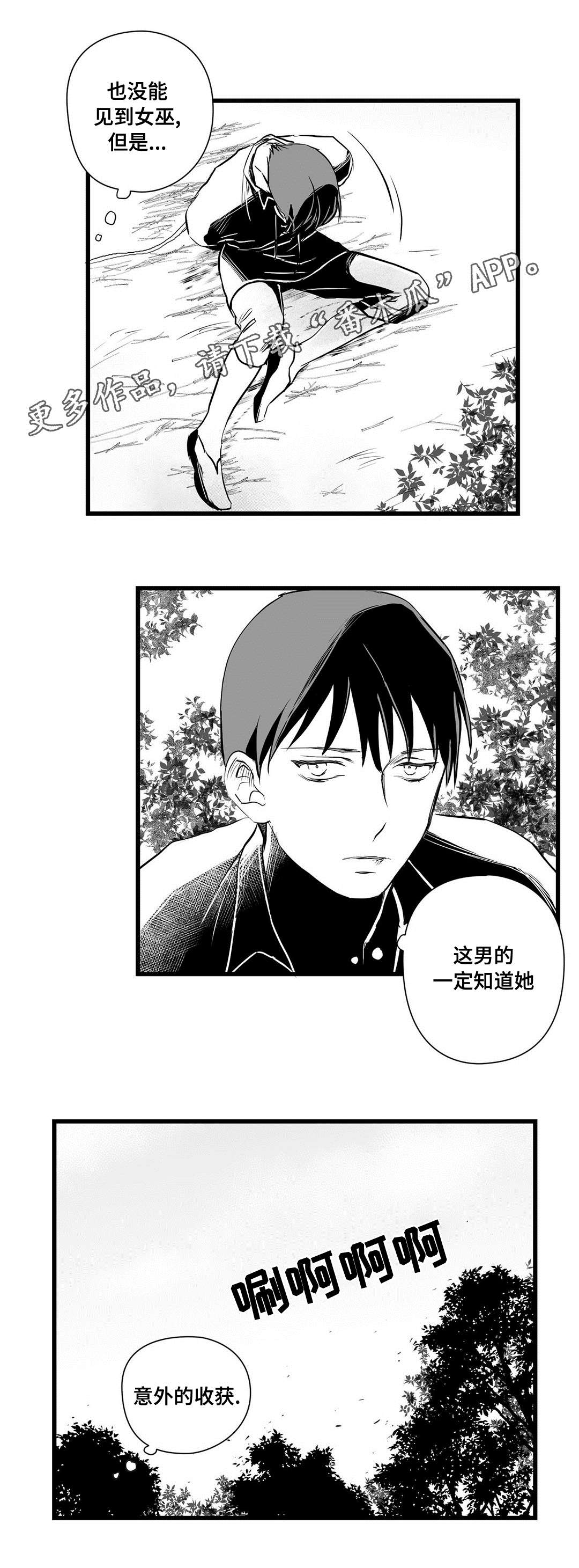 巫师与王子漫画,第28章：收获4图