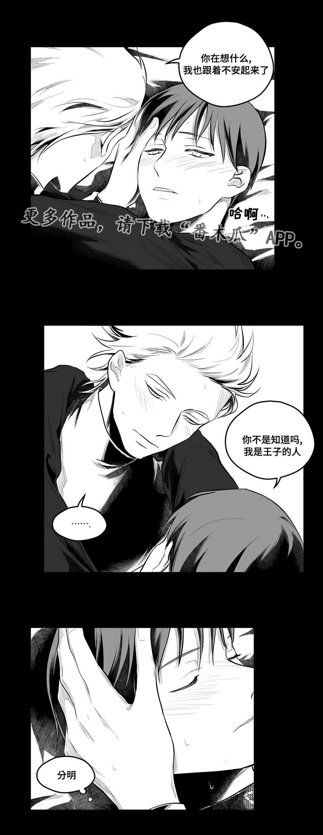 巫师与王子漫画,第55章：爱上4图