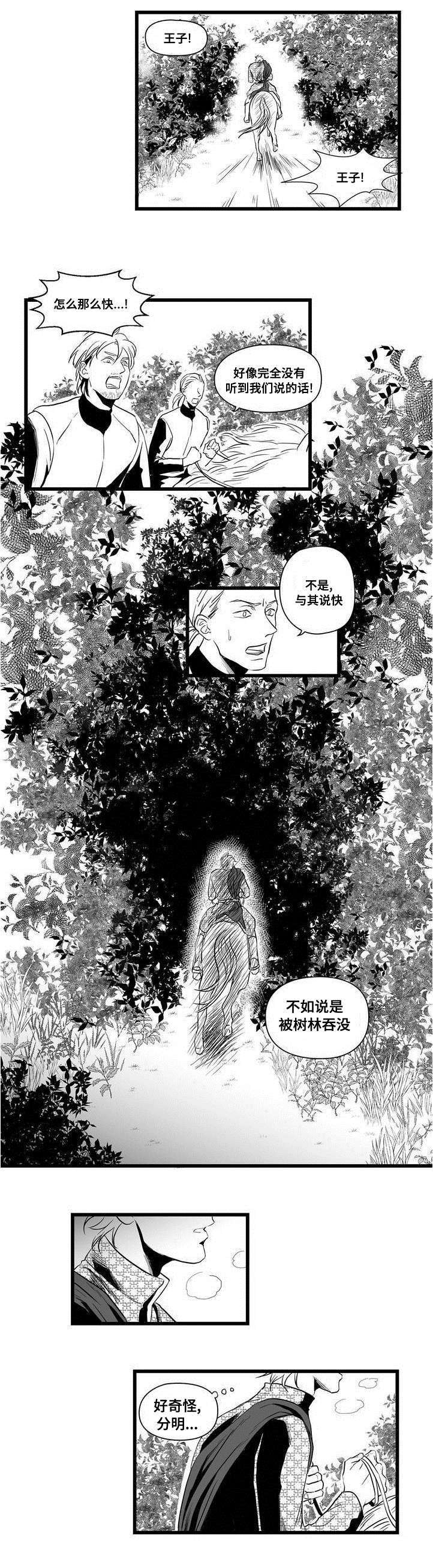 巫师与王子漫画,第1章：女巫2图