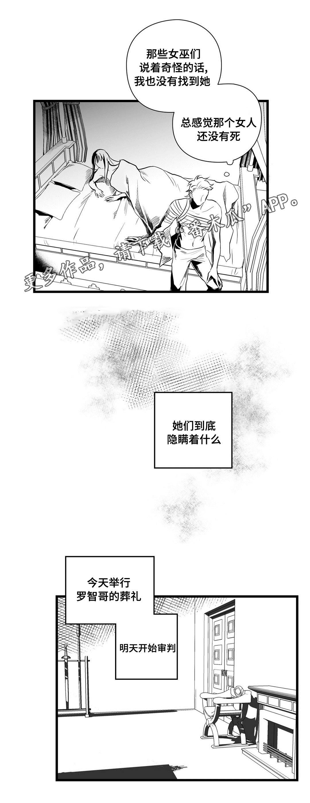 巫师与王子漫画,第36章：隐瞒着什么5图