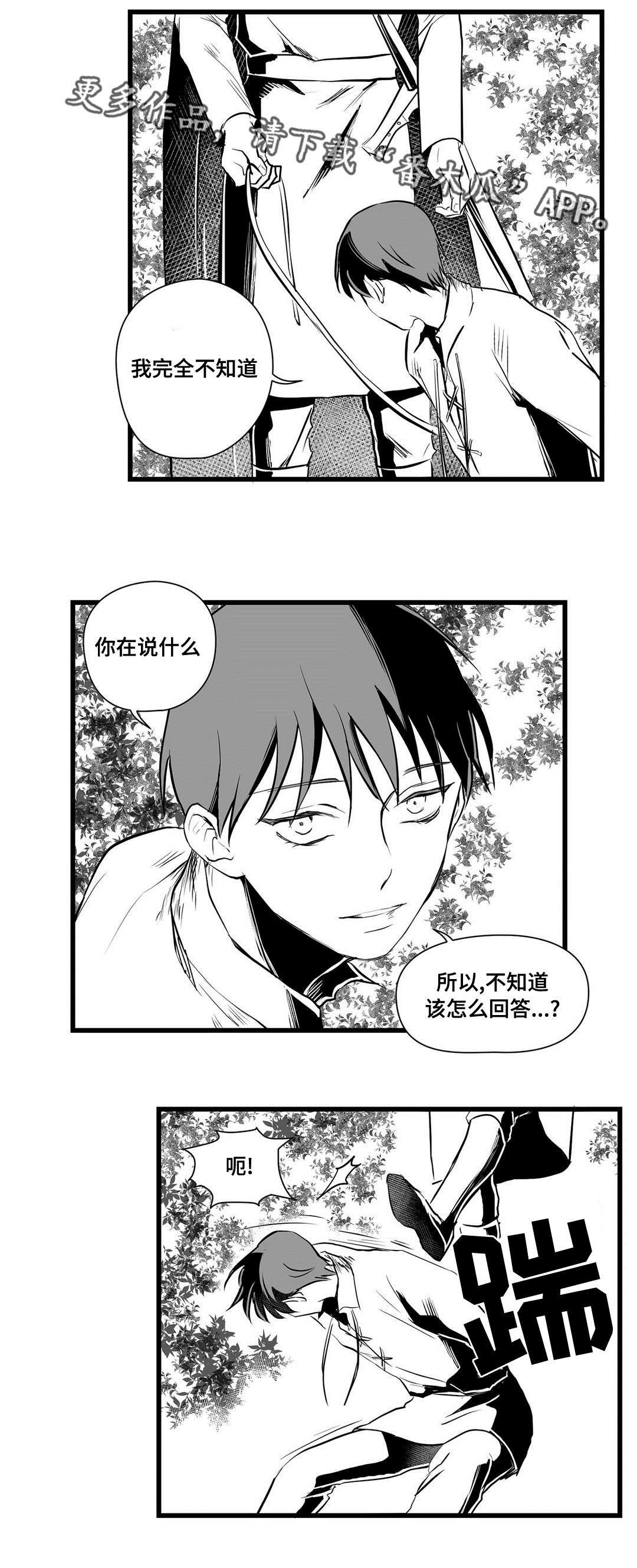 巫师与王子漫画,第28章：收获1图