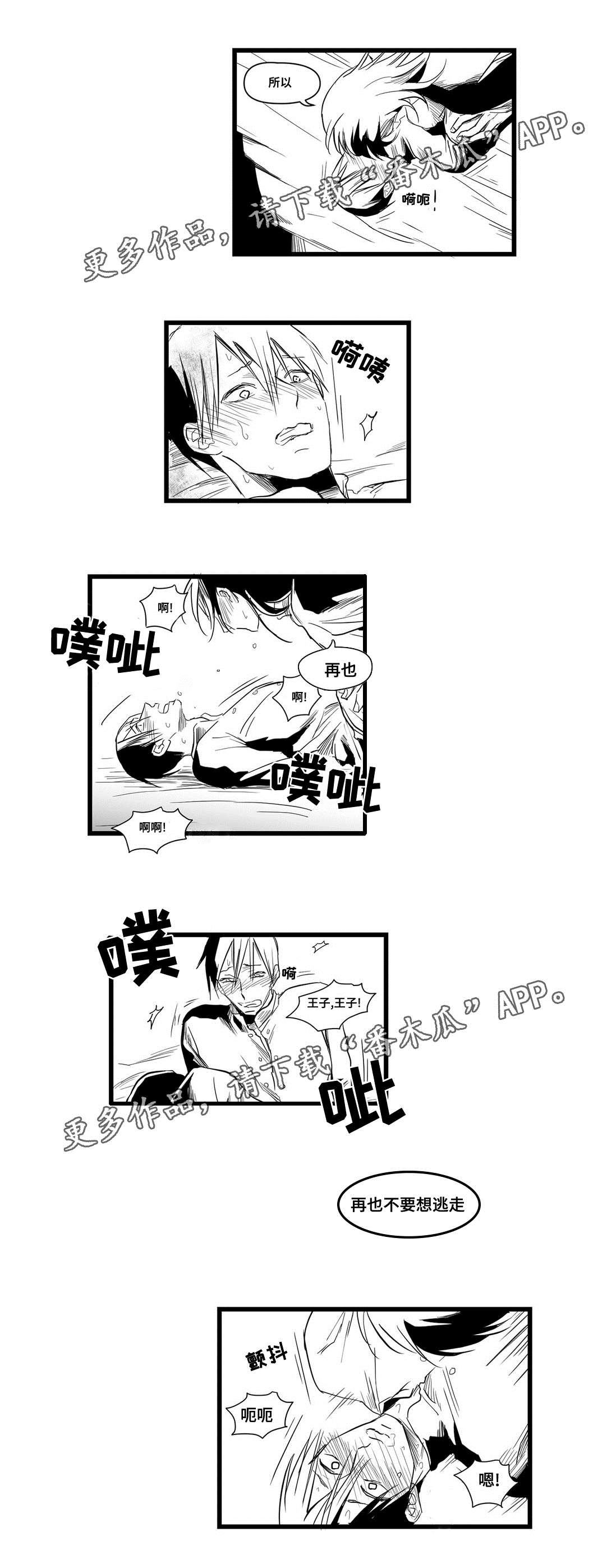 巫师与王子漫画,第7章：逃跑5图