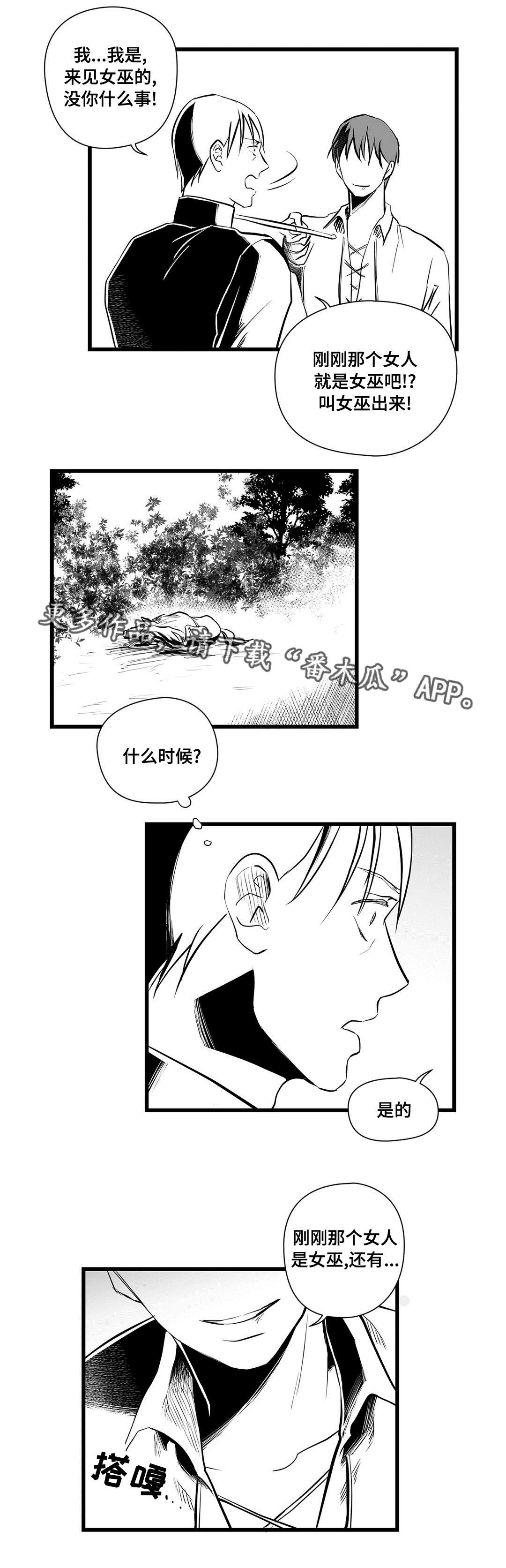 巫师与王子漫画,第24章：诡异3图