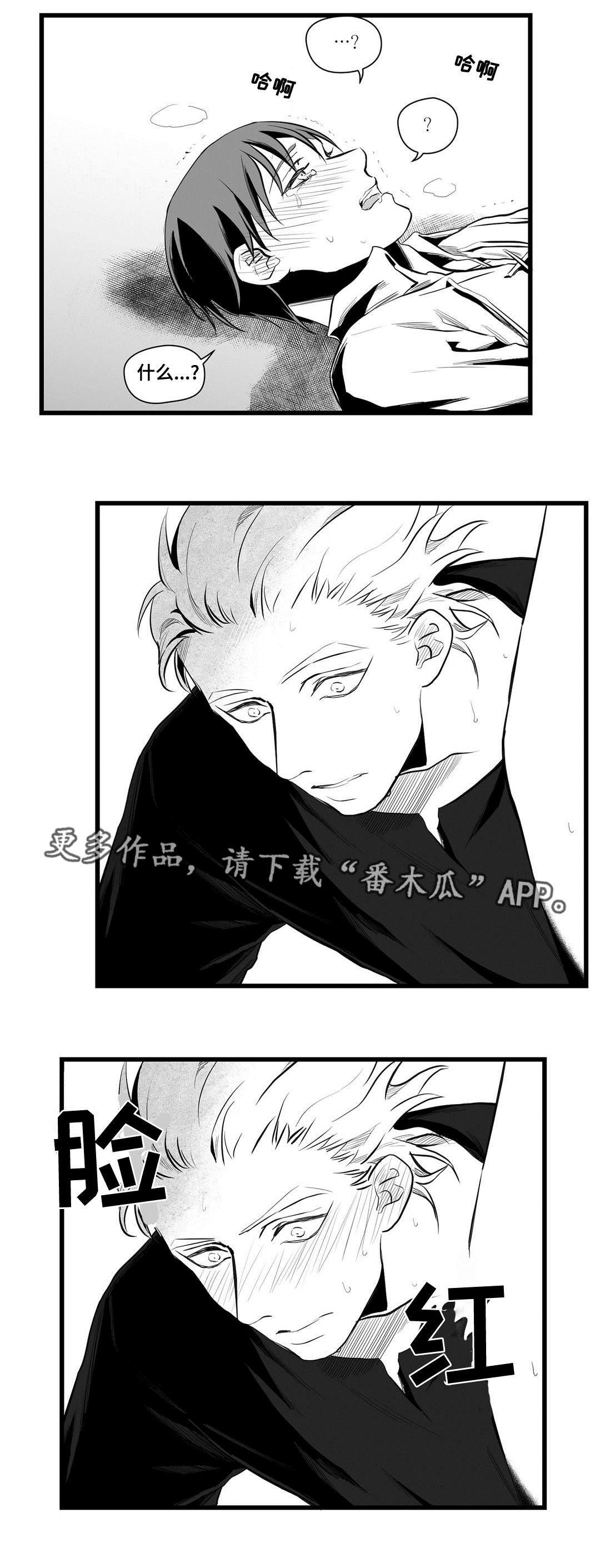 巫师与王子漫画,第39章：喜欢你5图