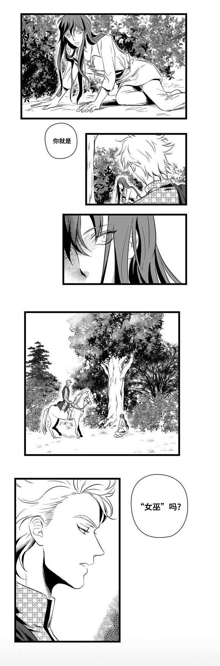 巫师与王子漫画,第1章：女巫2图