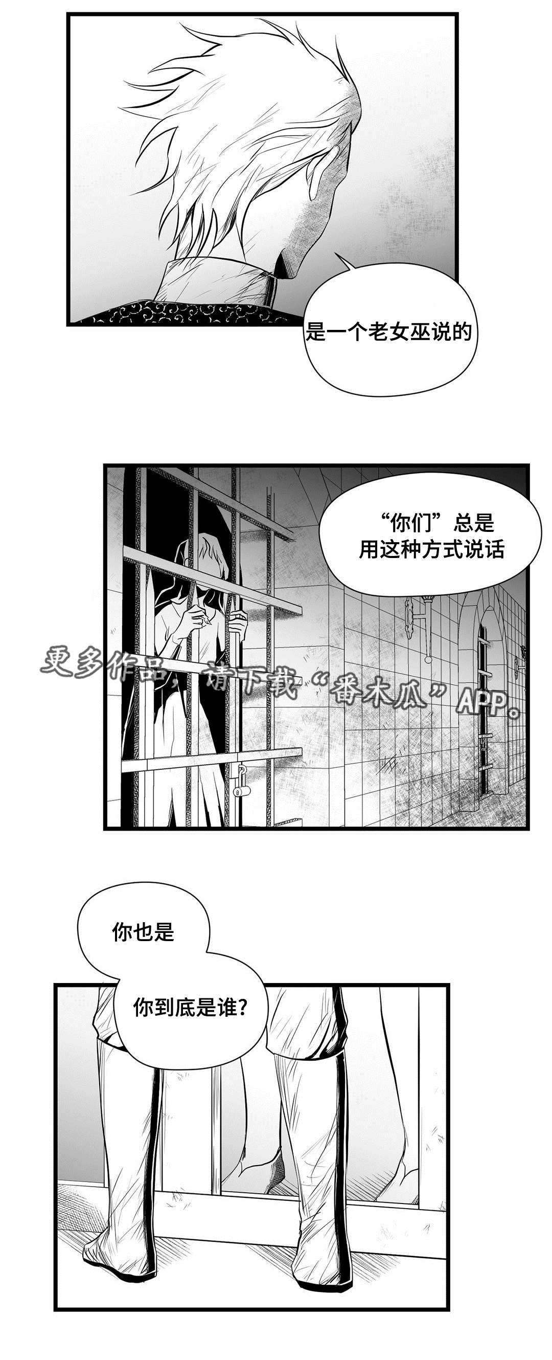 巫师与王子漫画,第34章：下毒5图