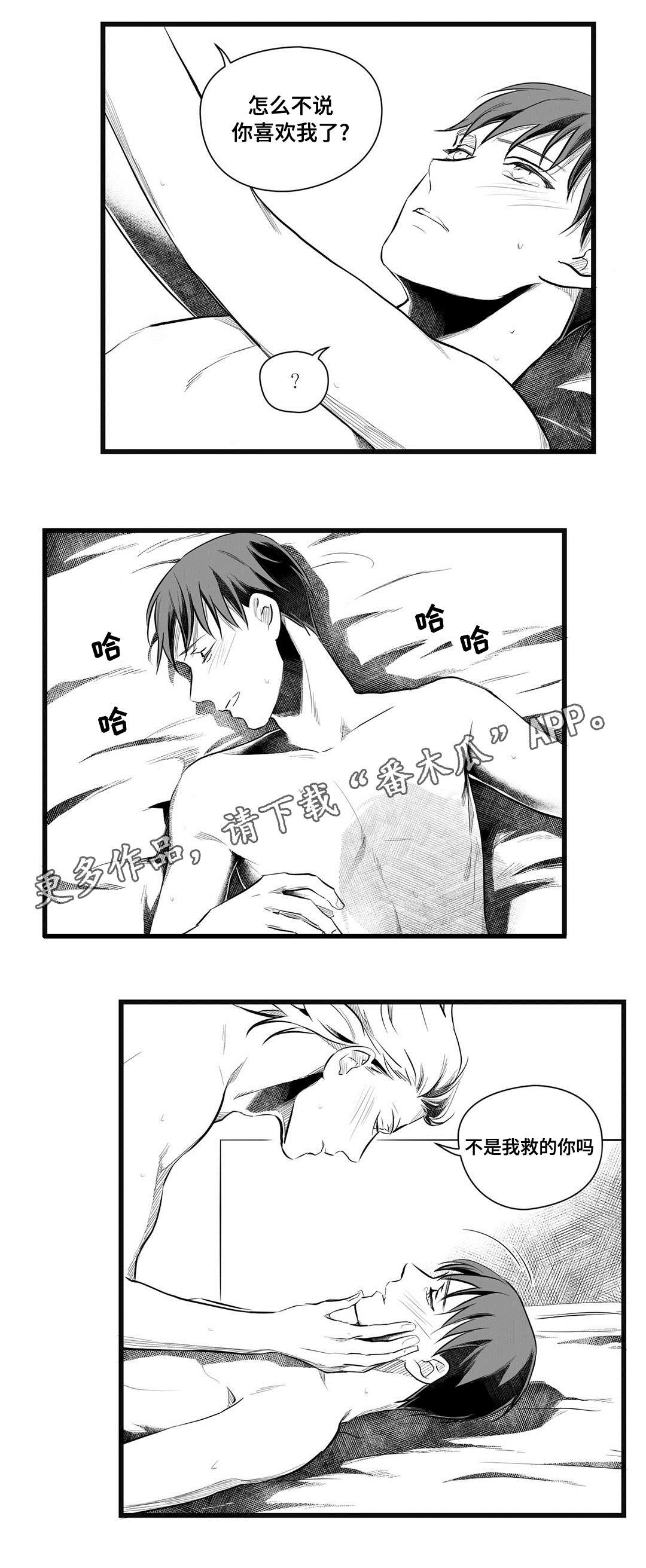 巫师与王子漫画,第49章：守护3图