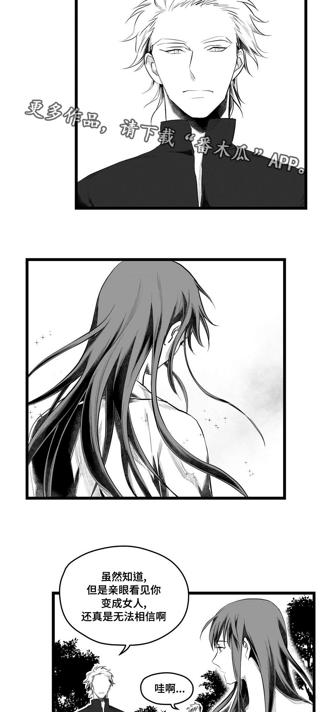 巫师与王子漫画,第84章：十五2图