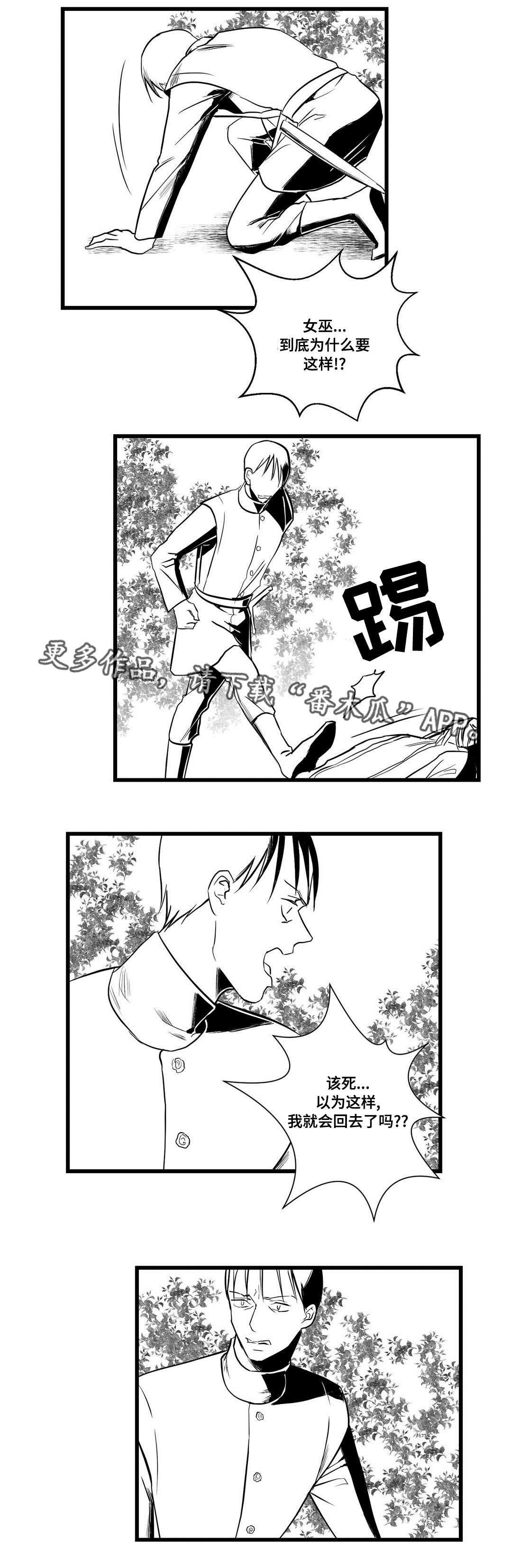 巫师与王子漫画,第26章：吓唬1图