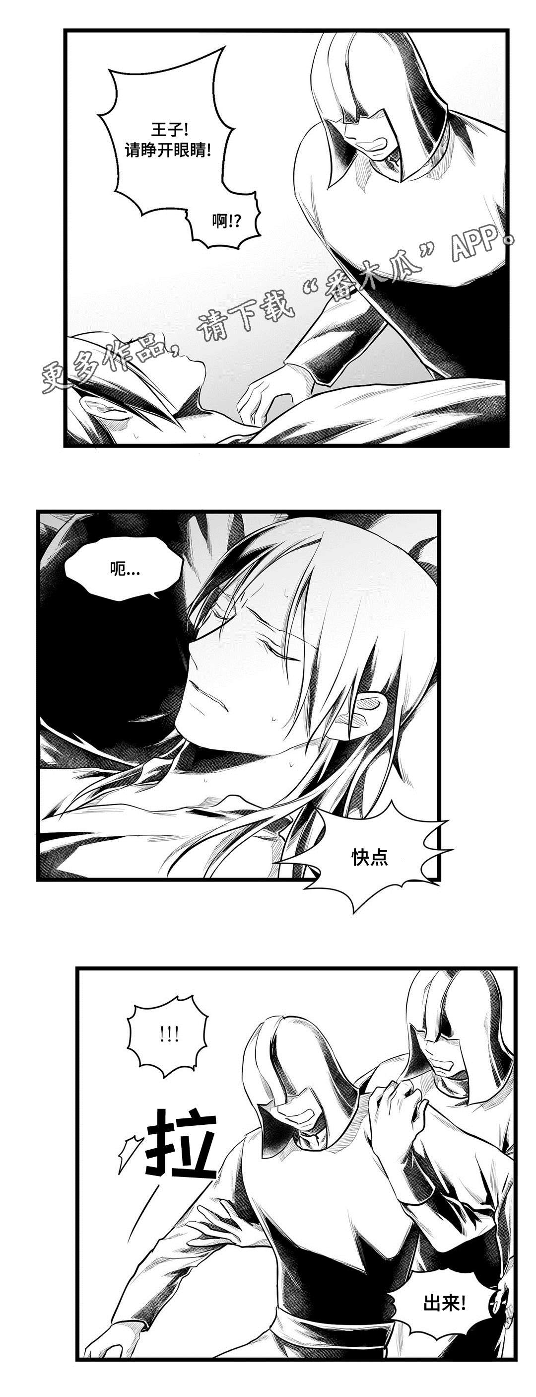 巫师与王子漫画,第54章：出逃5图