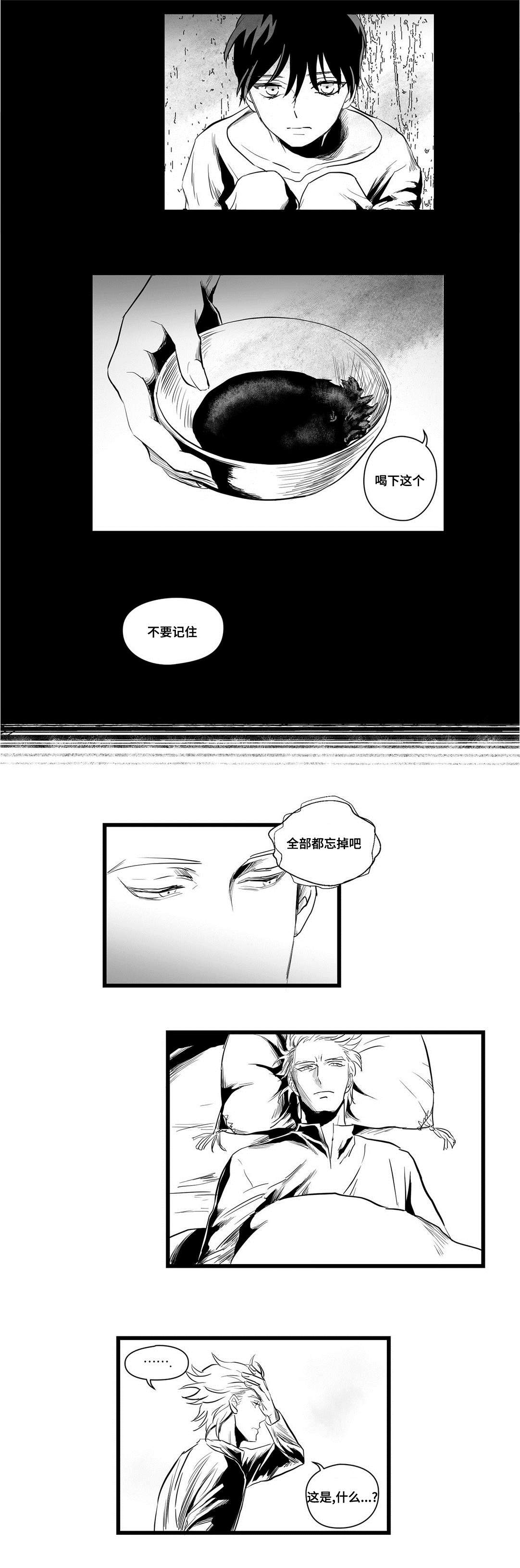 巫师与王子漫画,第4章：记忆2图