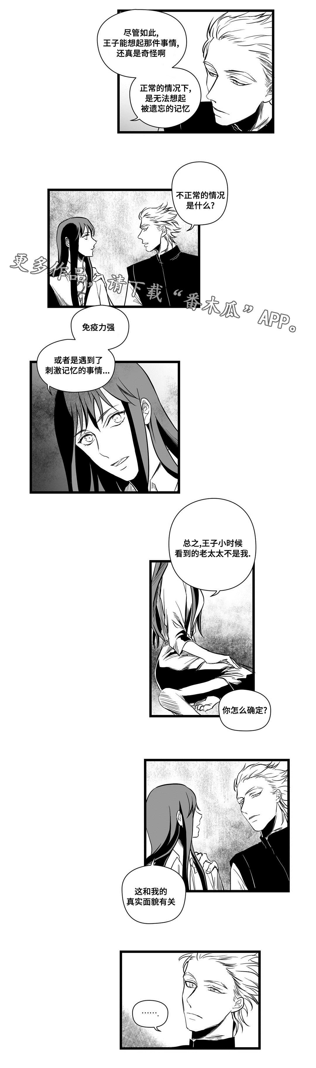 巫师与王子漫画,第11章：秘密3图
