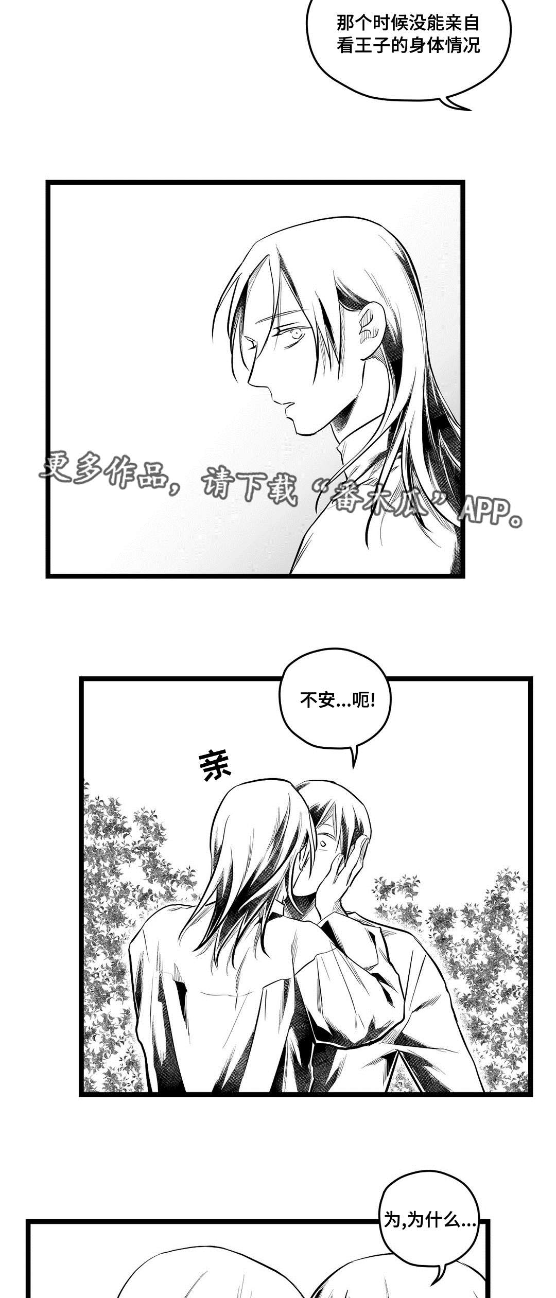 巫师与王子漫画,第70章：关心5图