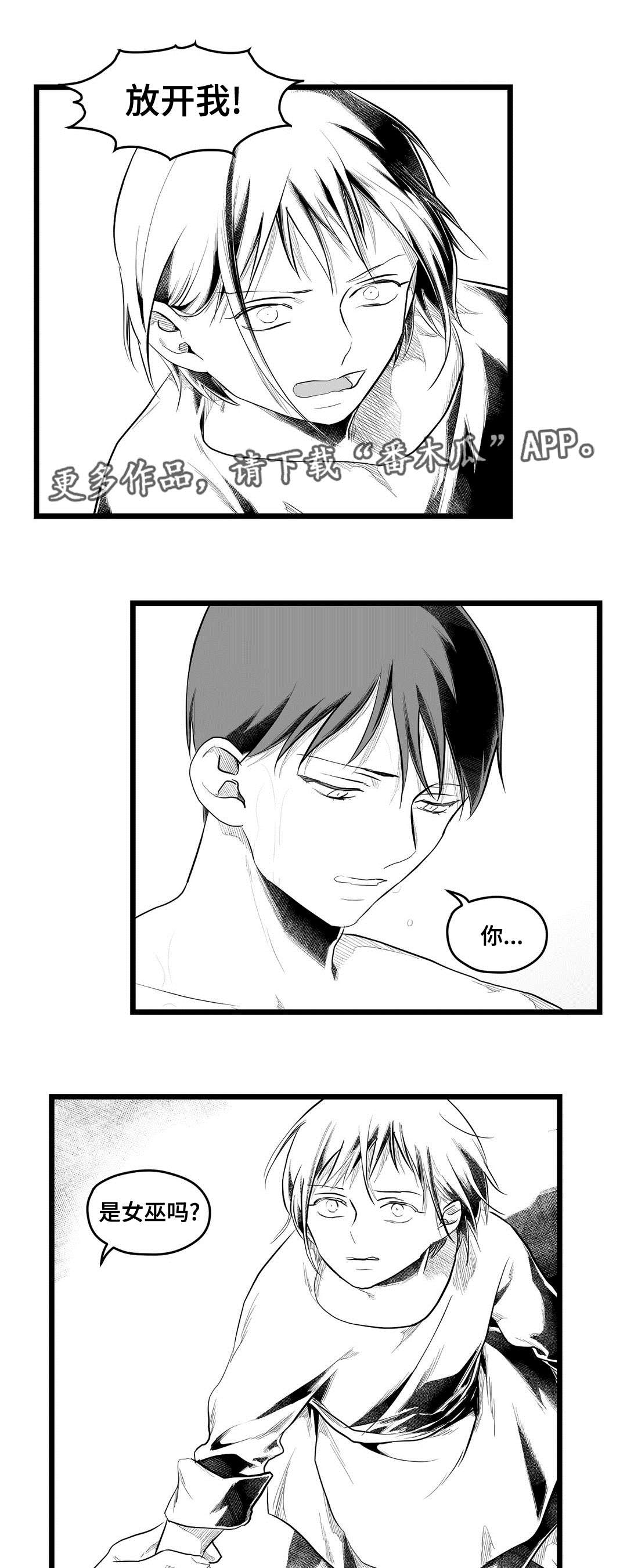 巫师与王子漫画,第77章：预见未来2图