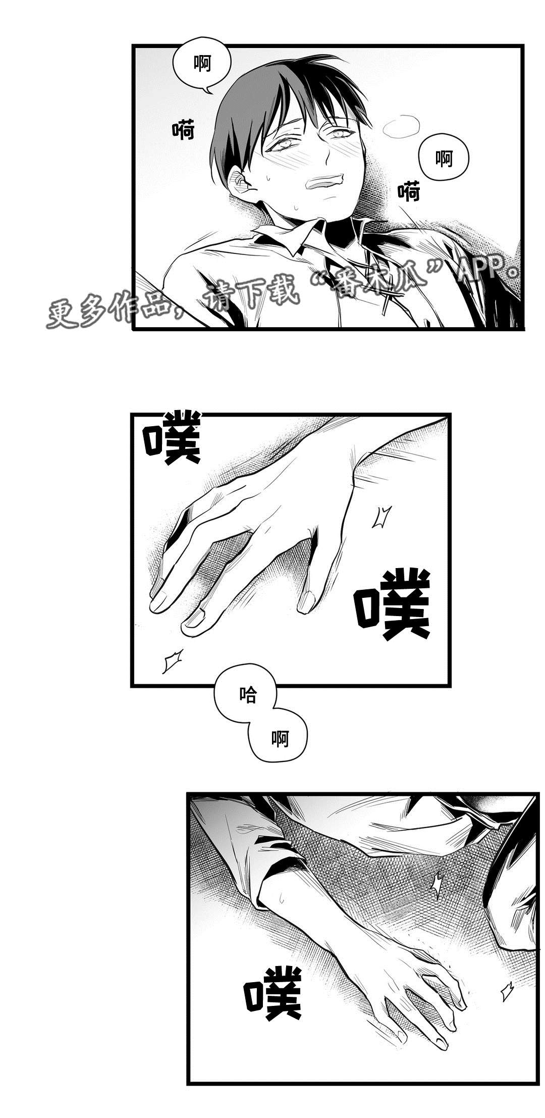 巫师与王子漫画,第39章：喜欢你1图