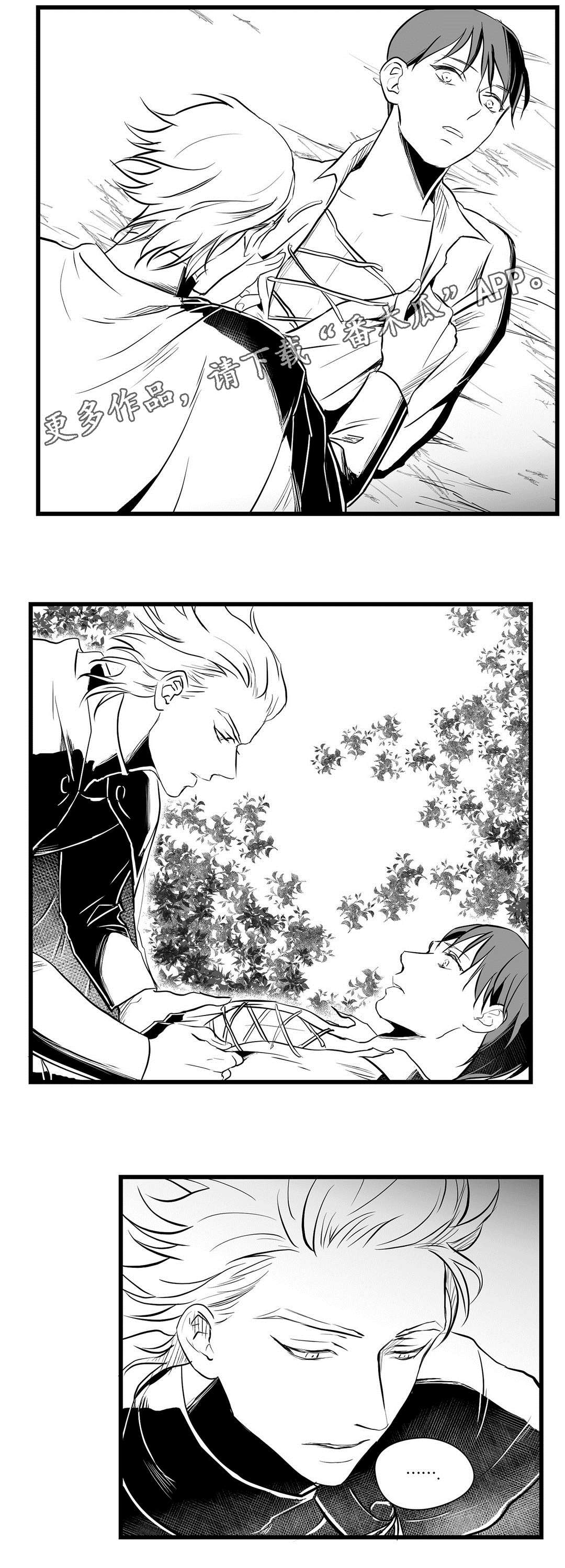 巫师与王子漫画,第28章：收获1图