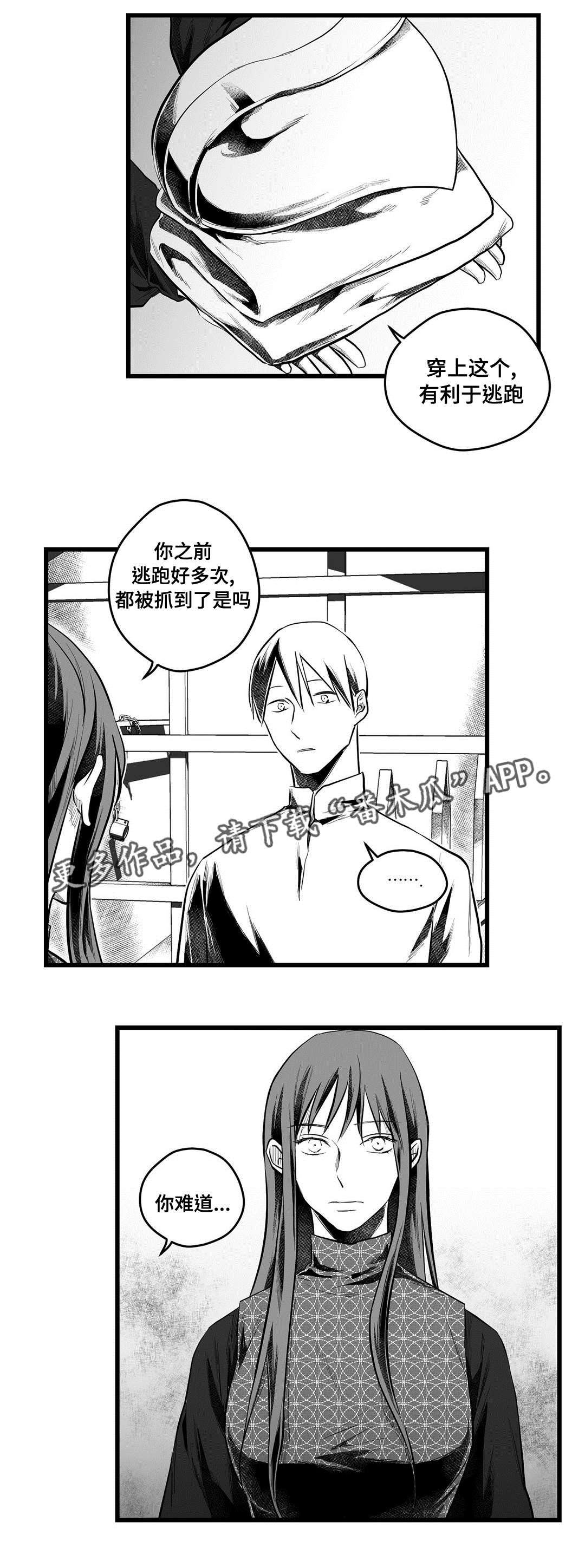 巫师与王子漫画,第54章：出逃2图