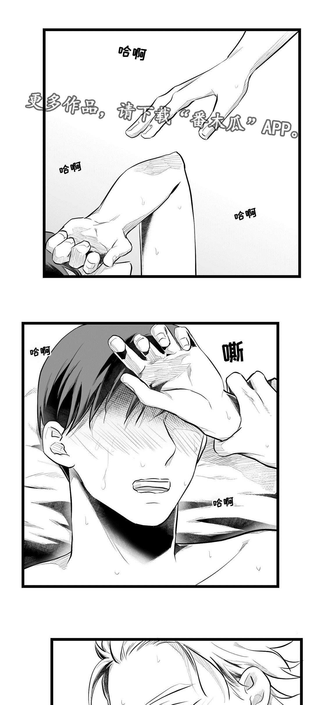 巫师与王子漫画,第69章：野心3图