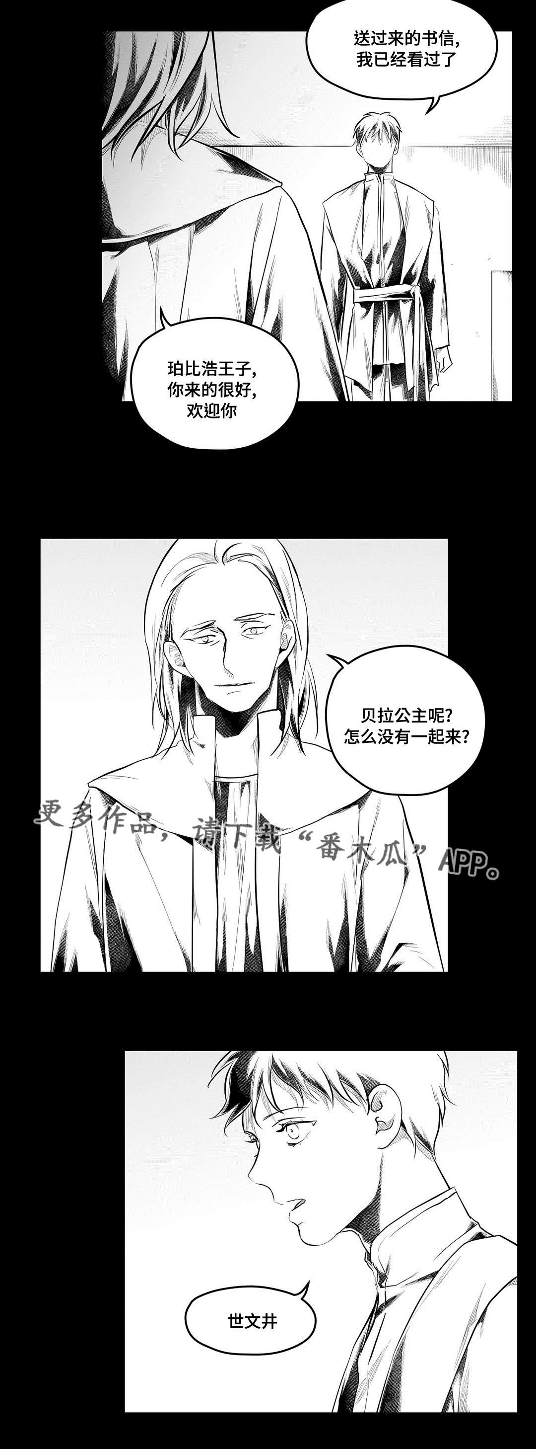 巫师与王子漫画,第79章：杀人2图