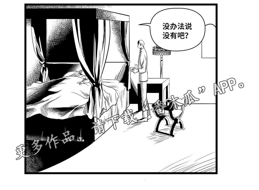 巫师与王子漫画,第13章：四王子1图