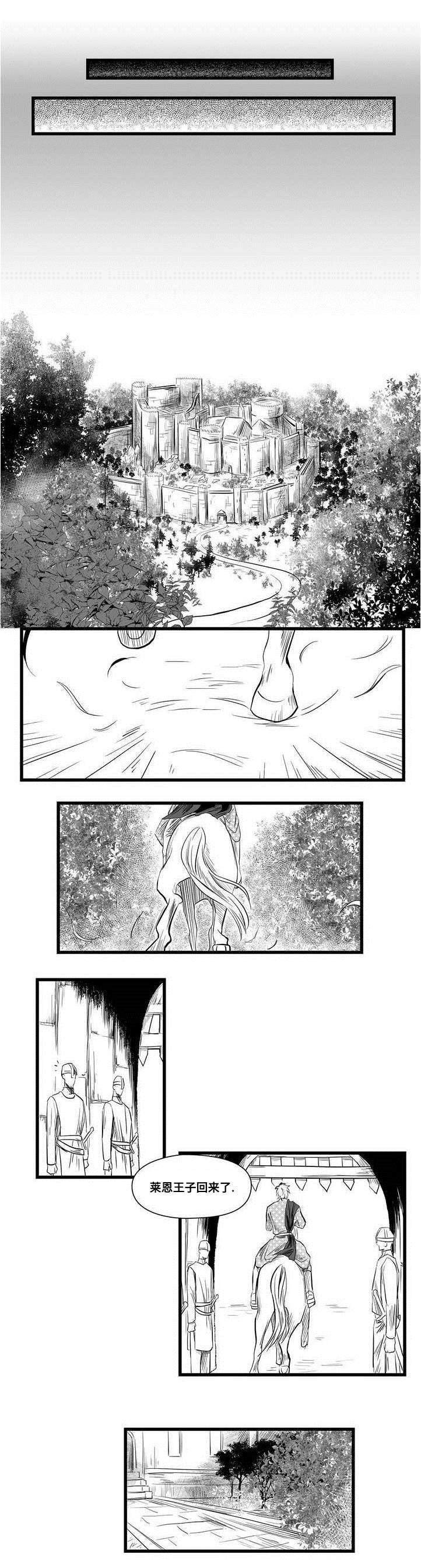 巫师与王子漫画,第2章：失踪的士兵4图