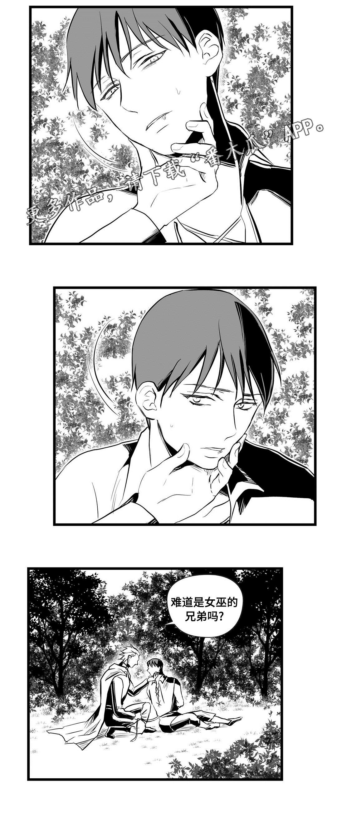 巫师与王子漫画,第28章：收获3图