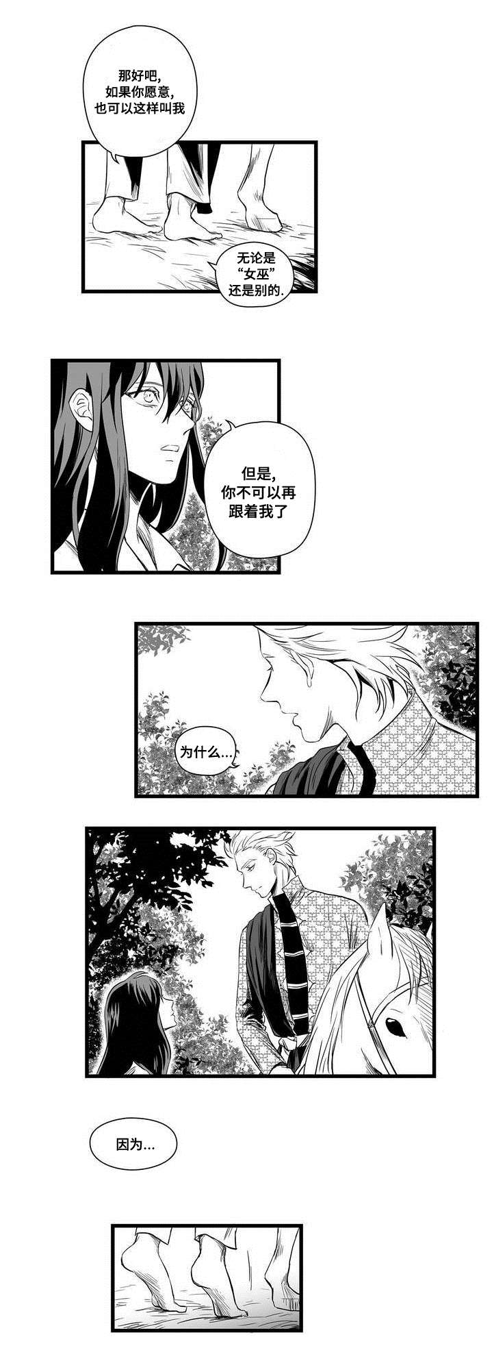 巫师与王子漫画,第2章：失踪的士兵3图