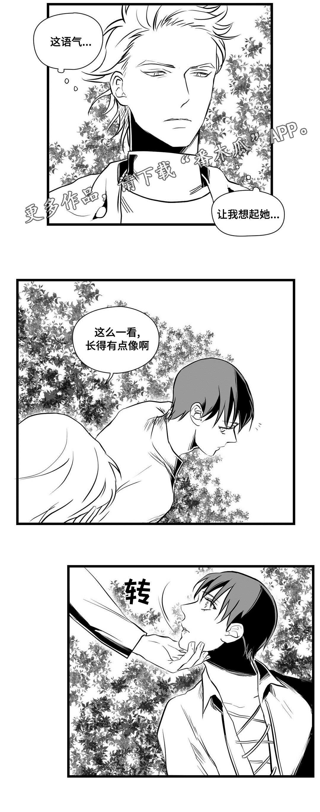 巫师与王子漫画,第28章：收获2图