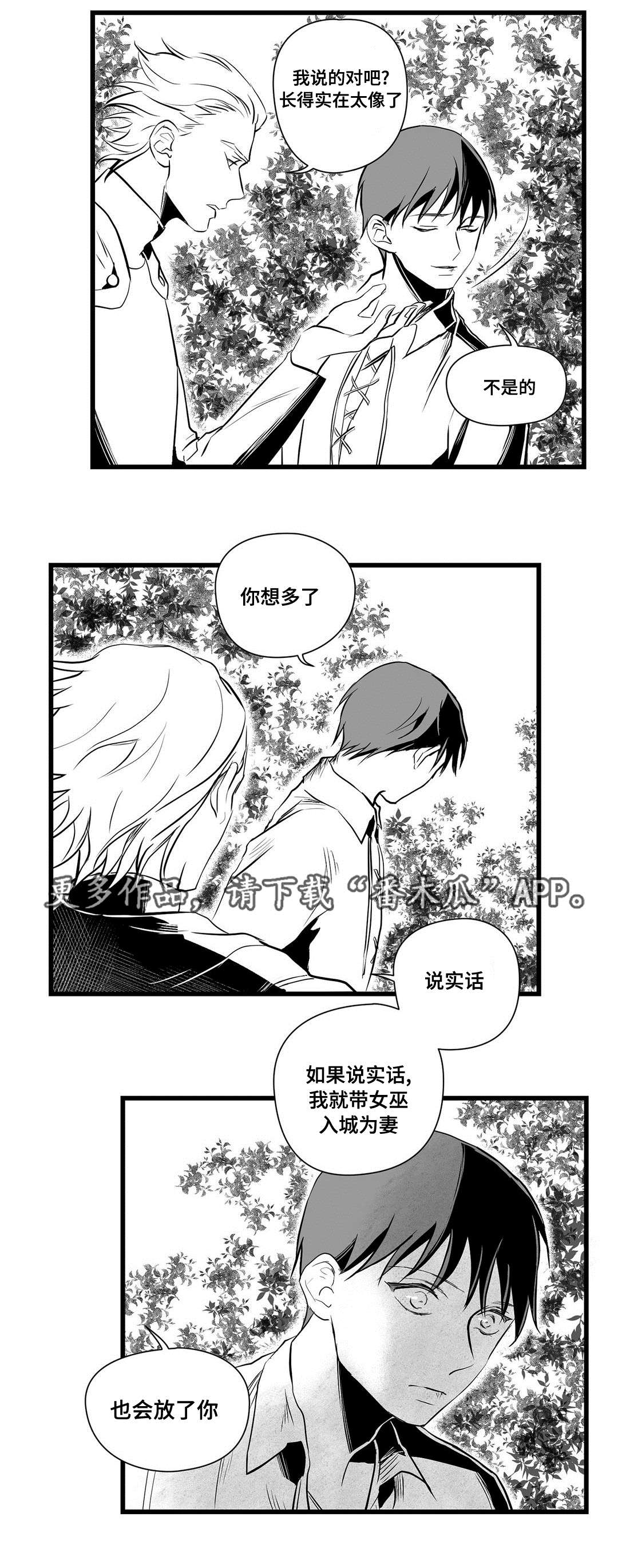 巫师与王子漫画,第28章：收获4图
