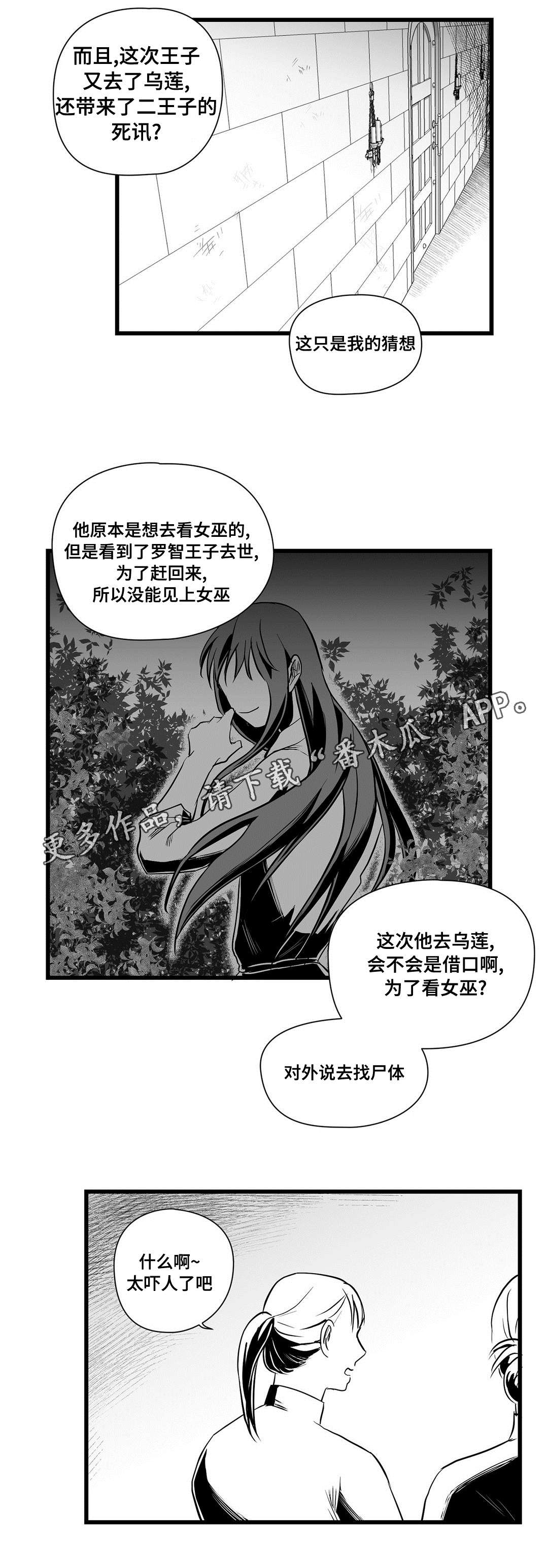 巫师与王子漫画,第32章：猜想3图