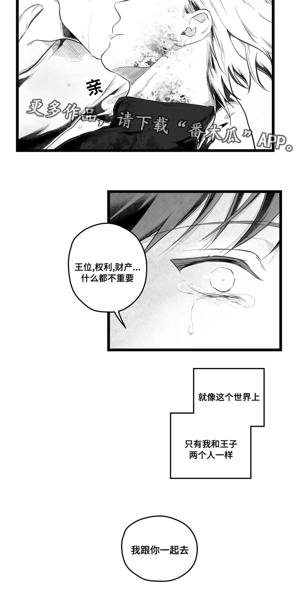 巫师与王子漫画,第90章：得失2图
