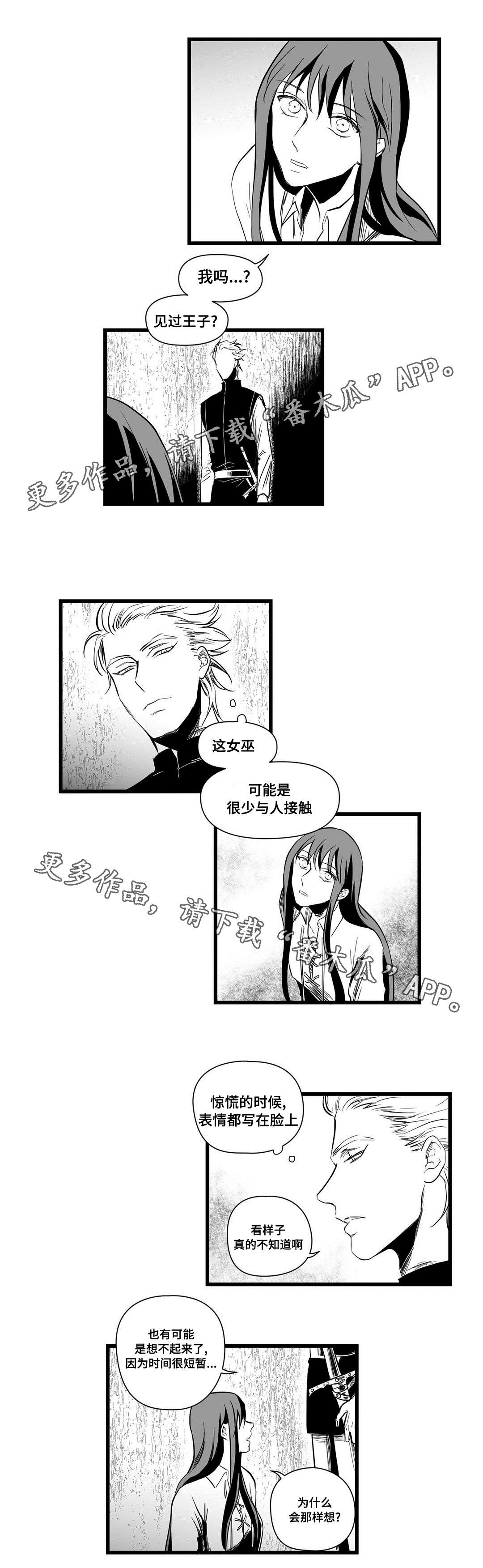 巫师与王子漫画,第11章：秘密1图