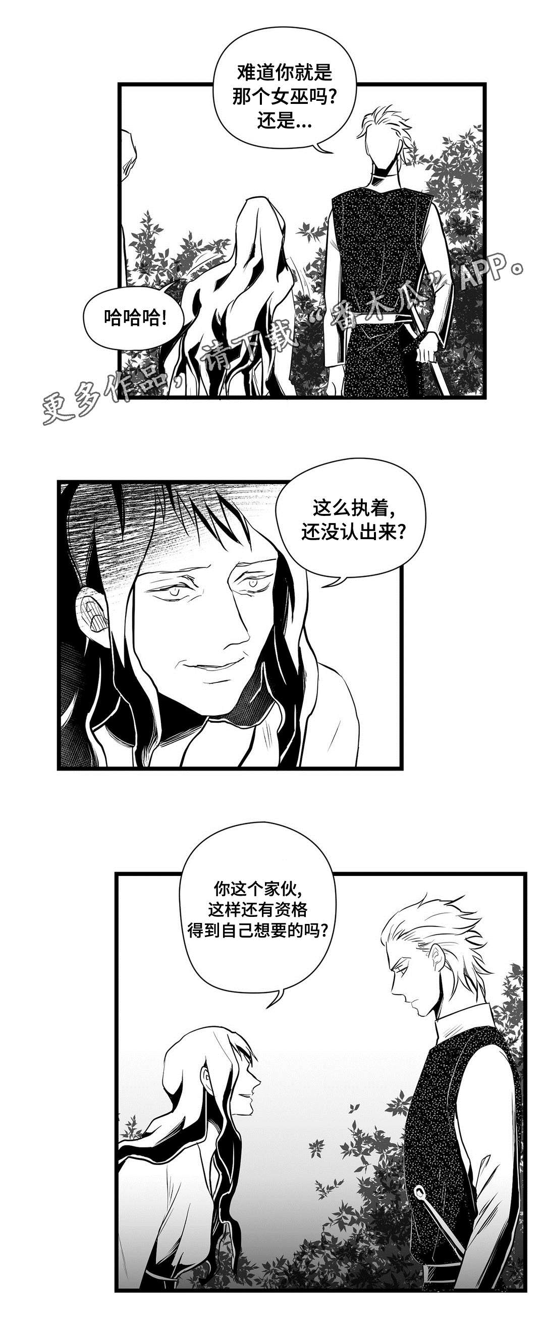 巫师与王子漫画,第33章：来了啊1图