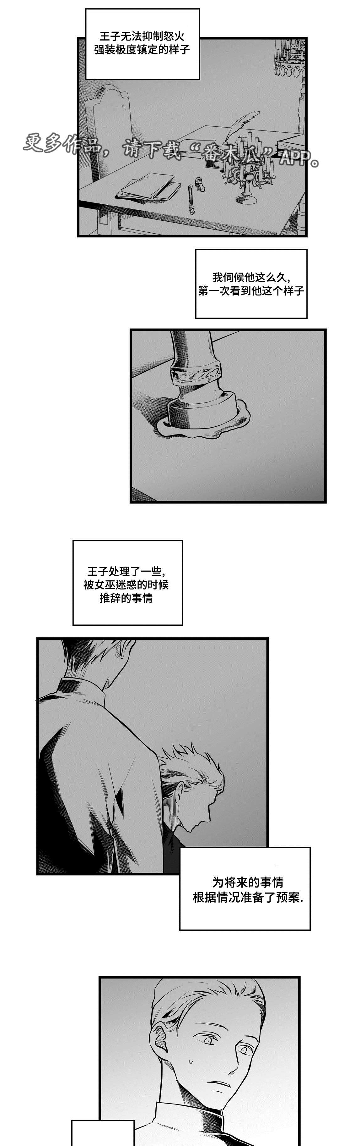巫师与王子漫画,第57章：山雨欲来5图