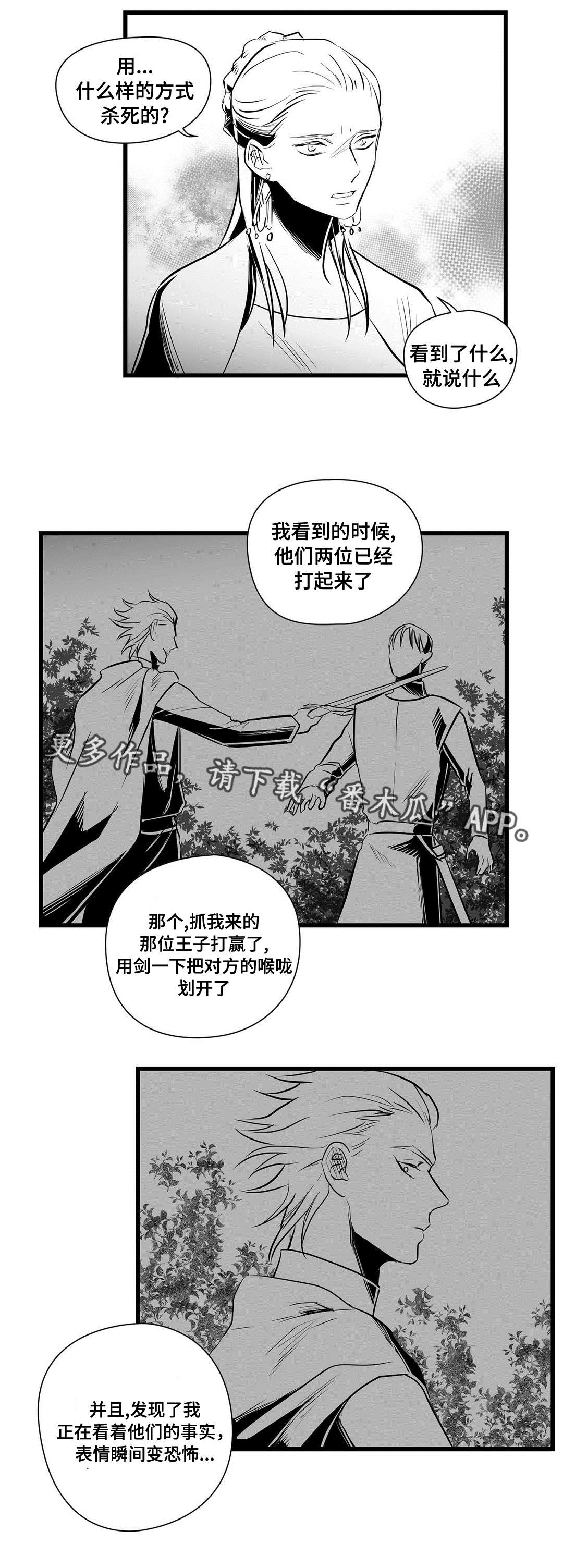 巫师与王子漫画,第31章：那个女人1图