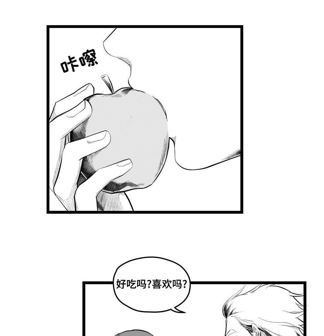 巫师与王子漫画,第93章：终章2图