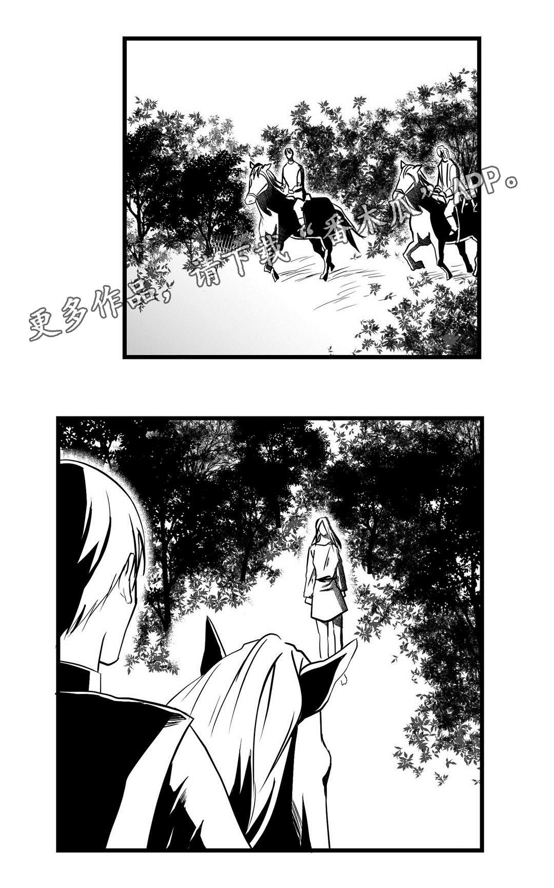 巫师与王子漫画,第24章：诡异2图