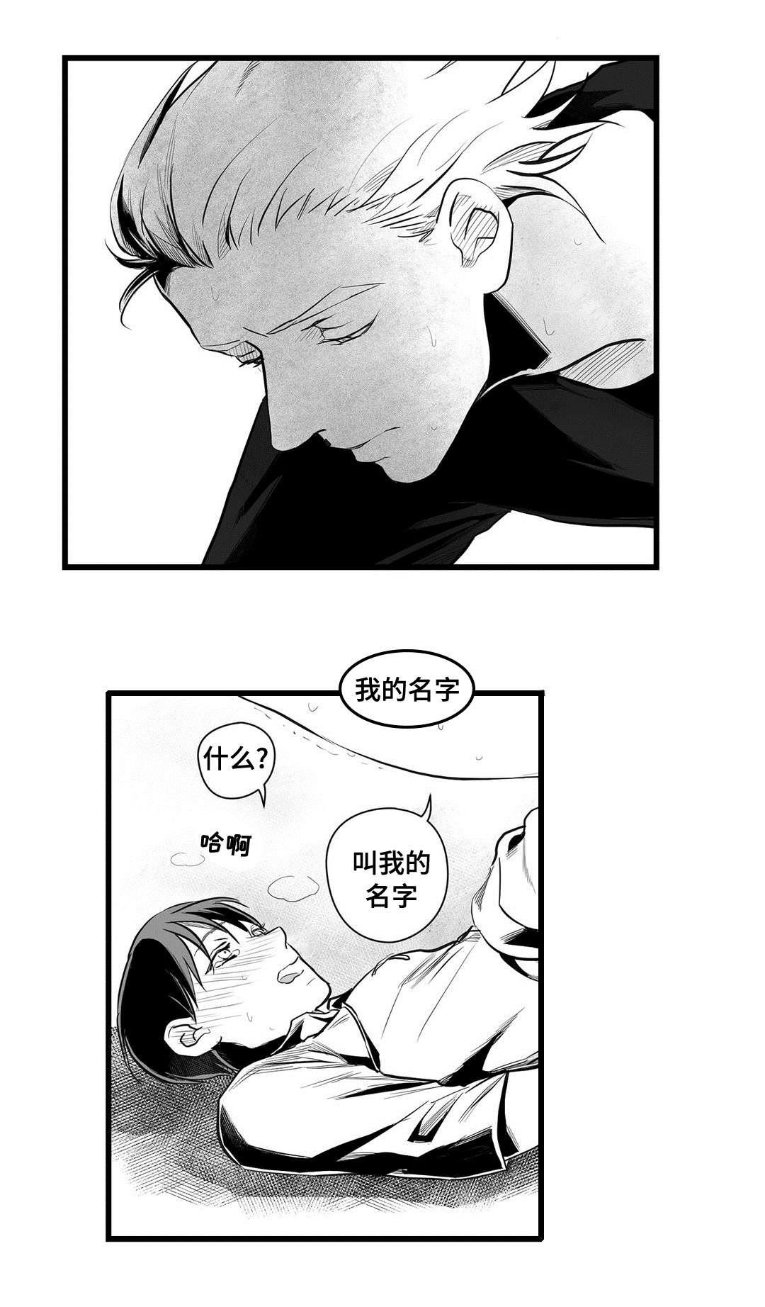 巫师与王子漫画,第39章：喜欢你2图