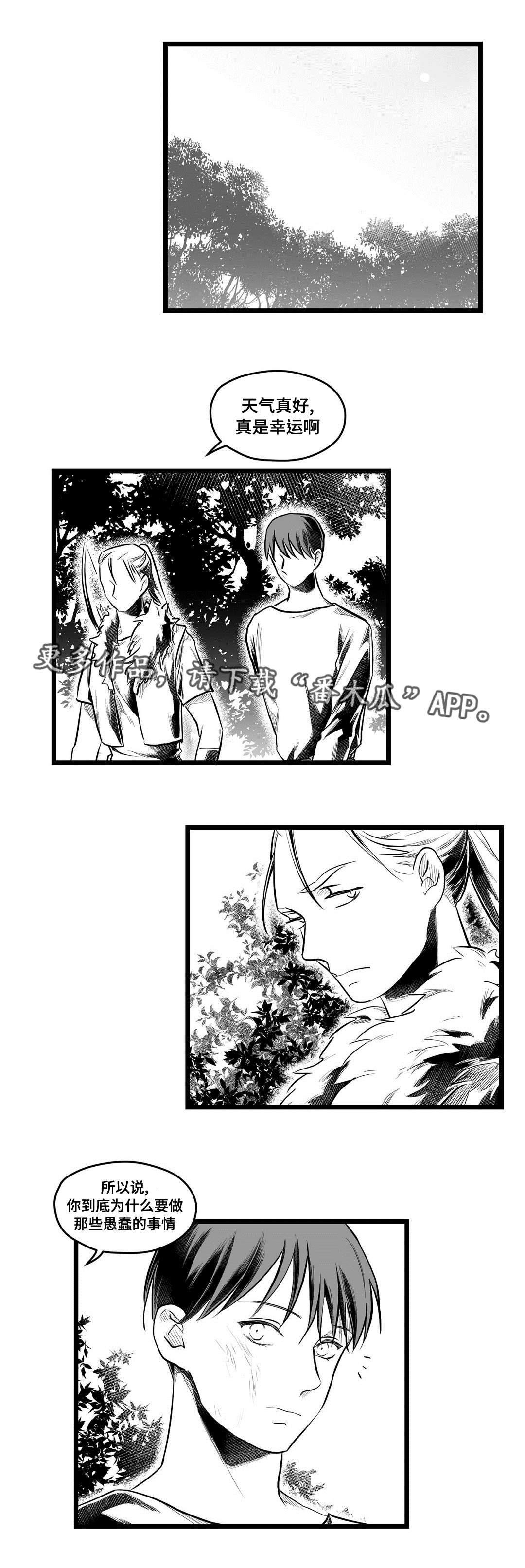 巫师与王子漫画,第63章：爱情3图