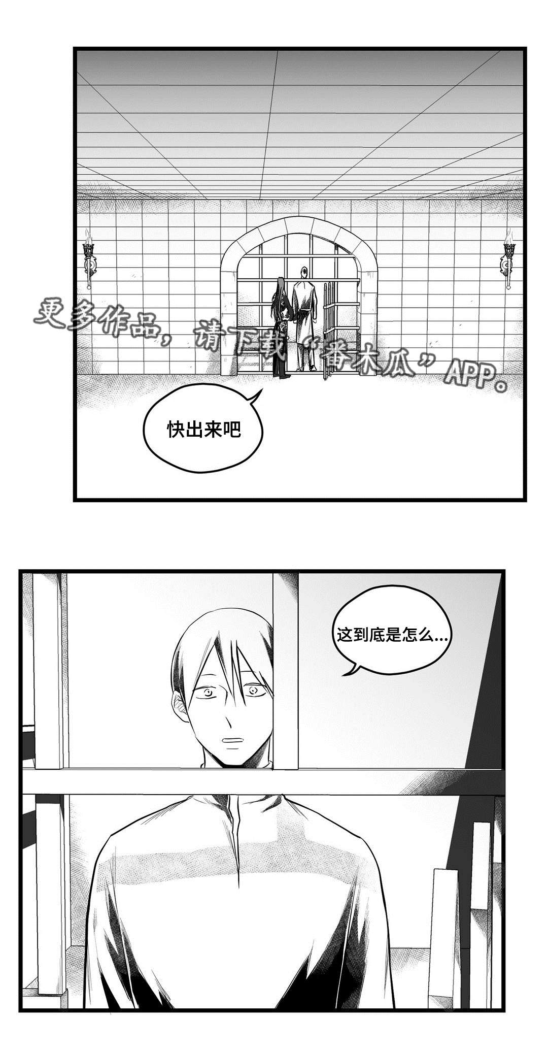 巫师与王子漫画,第54章：出逃1图